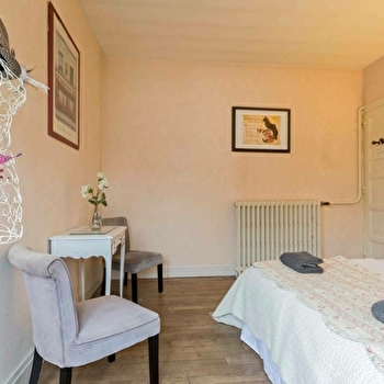 The Magic Owl - DIJON