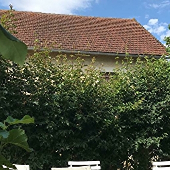 Alfred et George - L'Annexe - SAINPUITS