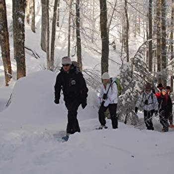 Circuit Le Périmètre - PLANCHER-LES-MINES