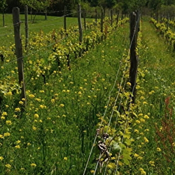 Terre Happy - SAINT-BONNET-DE-CRAY