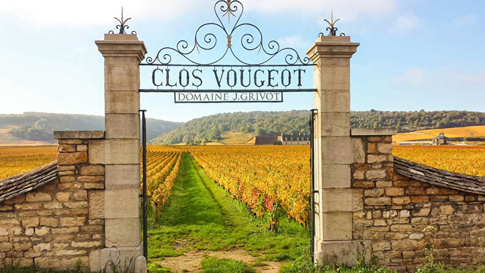 Journée vélo et vin en Cote de Nuits