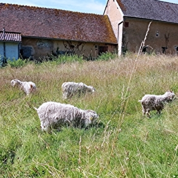 La fermette de Vrinette - SAINT-VERAIN