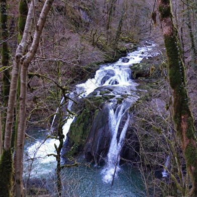Sentier Courbet 4 : La Source de la Loue et sa vallée