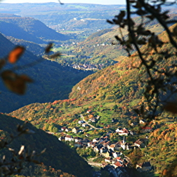 Moine de la Vallée - n° 29 - ORNANS