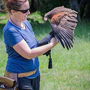 L'Echappée Morvan d'Ailes - Randonnée insolite - LA COMELLE
