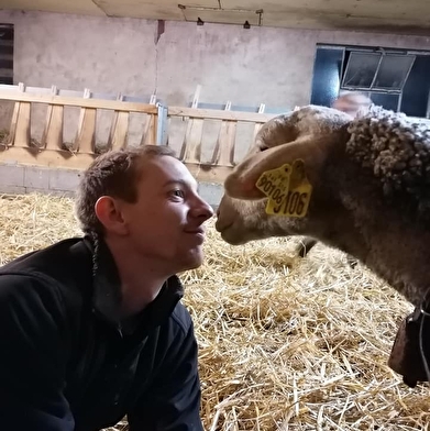 Aire pour camping-car - La Bergerie de Santagny