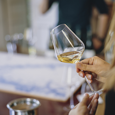 Domaine Chanson - Dégustation Découverte des Terroirs