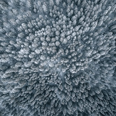 Office de Tourisme Haut-Jura Saint-Claude - La Pesse