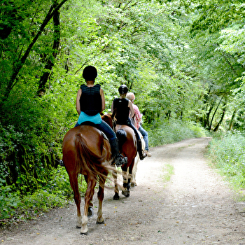 Immersion Naturelle - 