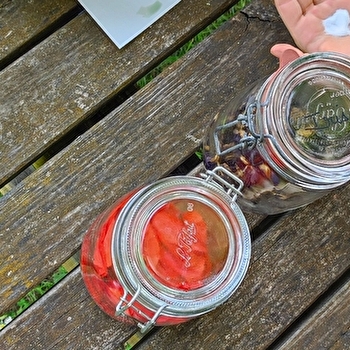 Aquarelle et peinture végétale - COSNE-COURS-SUR-LOIRE