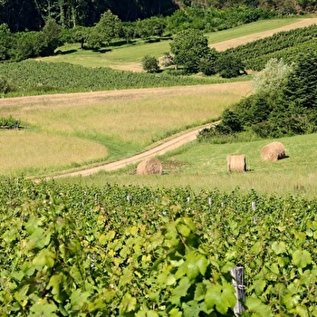 La Boucle de Montorient - COURBOUZON