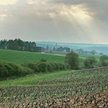 Marie de Louvoy - MOLESME