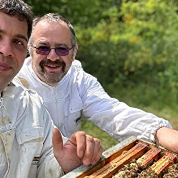Les miels de Franche-Comté - BERCHE