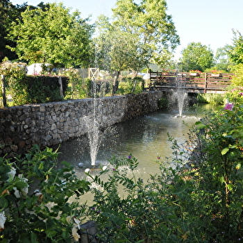 Le bois de Mongin - LA CELLE-EN-MORVAN
