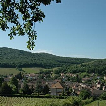 Sur les sentiers du Sud Bourgogne - De Tournus à Lugny - TOURNUS