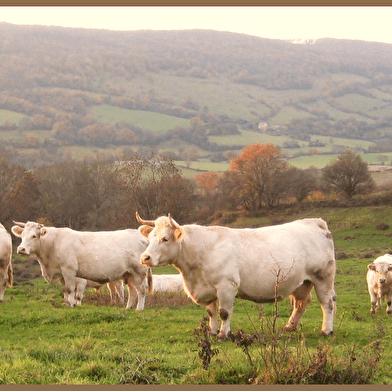 La Ferme du Mont Rouge