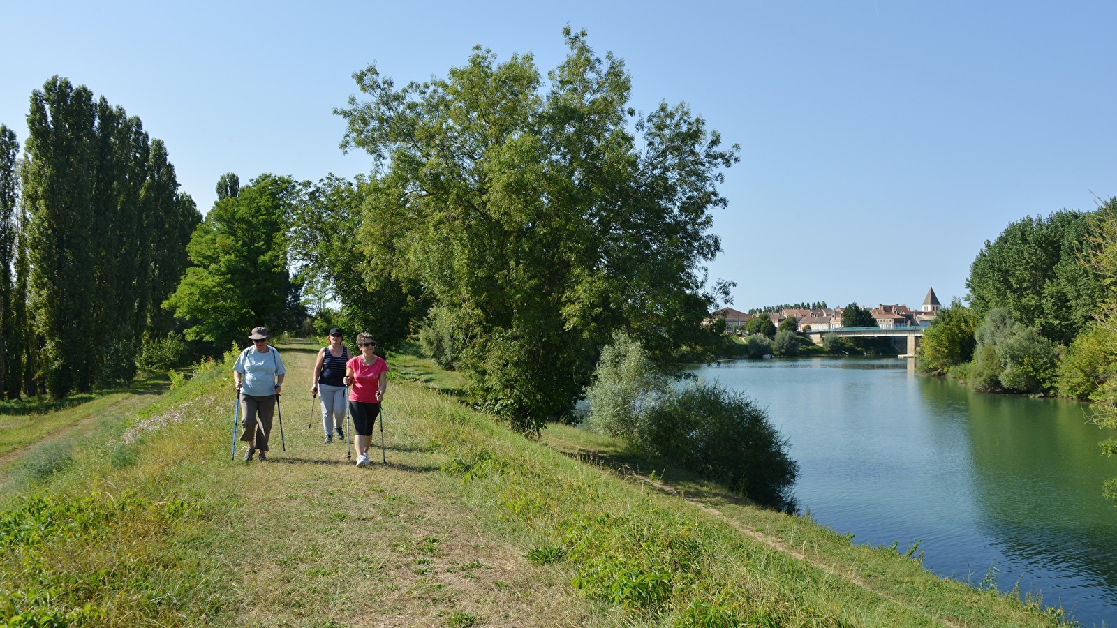 Panouille dans la panade