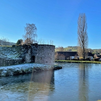 Château d'Alone-Toulongeon - LA CHAPELLE-SOUS-UCHON