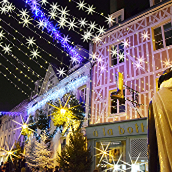 Visite Flash du mois de Décembre : A la découverte des symboles de Noël.  - AUXERRE