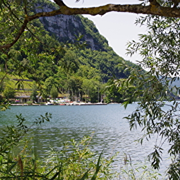Parcours VTT 66 bleu - Forêt de Coléjard - Espace FFC Ain Forestière - NANTUA
