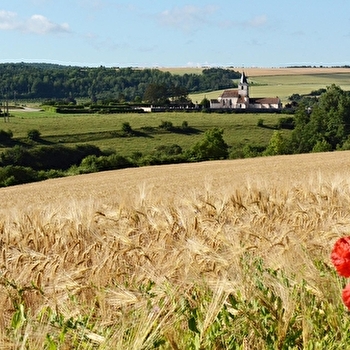 Sources et Rouissoirs - POISEUL-LES-SAULX