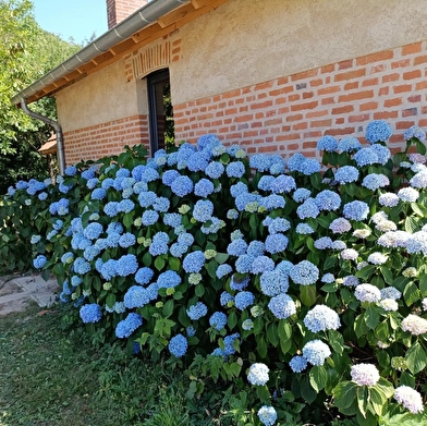 Aux Cœurs de Céliane