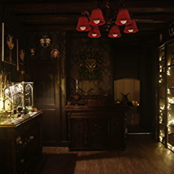 Entropium de la pierre poilue  - PREMERY