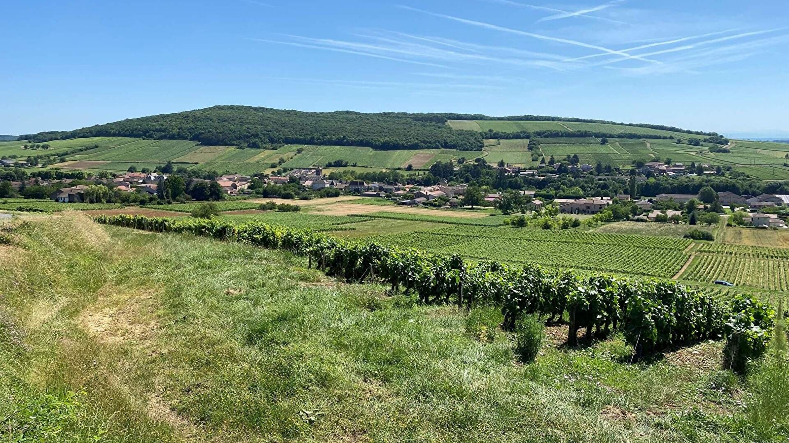 Le Val d'Azé, entre vignes et bocages