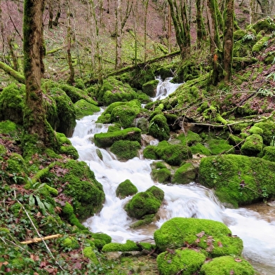 Vallon et Cascade du Raffenot