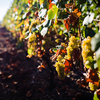 Domaine du Beauregard - SAINT-SERNIN-DU-PLAIN