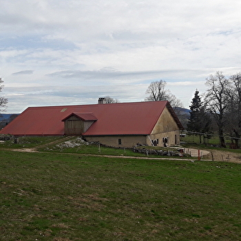 La Route du Grand Taureau - PONTARLIER
