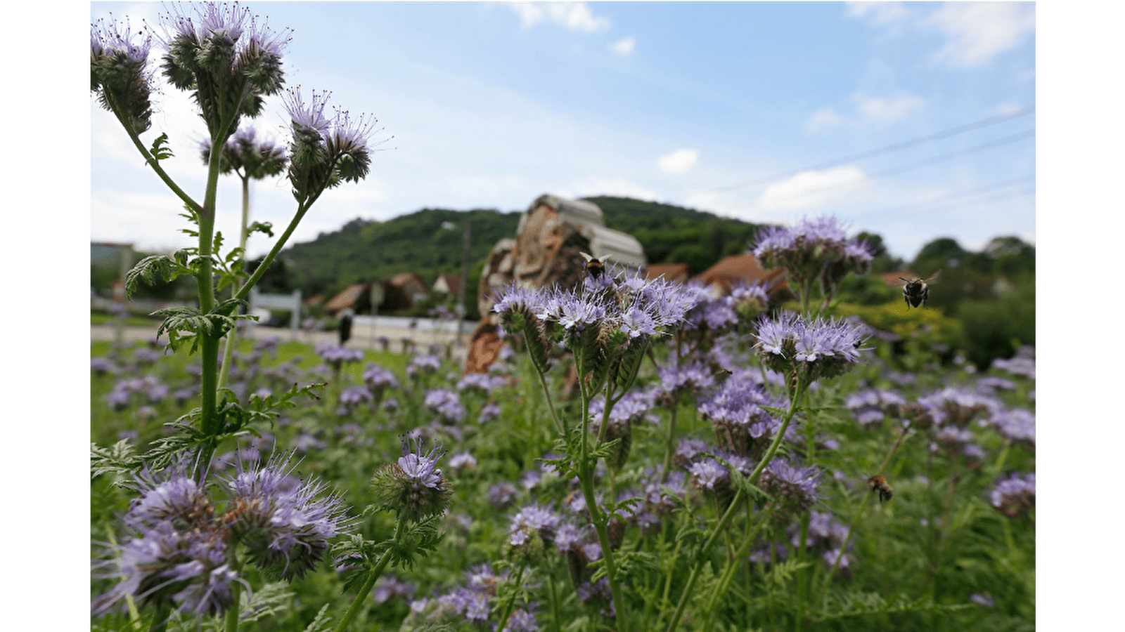 Circuit VTT n°23 / Novillars