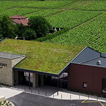 Cave de Lugny - LUGNY