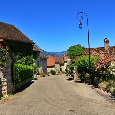 Parcours VTT 8 noir - Marais d'Aignoz - Espace FFC Ain Forestière