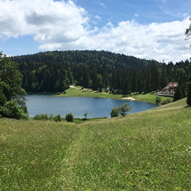 Parcours VTT 67 vert - Lac Genin et les hauts de Charix - Espace FFC Ain Forestière