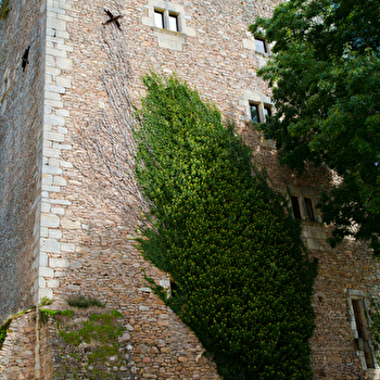 Musée du Donjon - Musée Raymond Rochette - SAINT-SERNIN-DU-BOIS