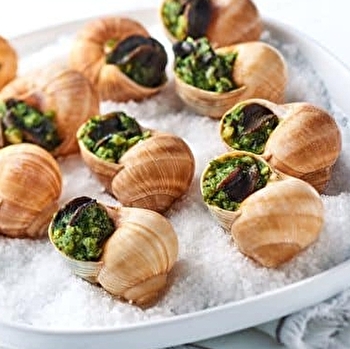 L'Escargotière Yonne Hélix - GURGY