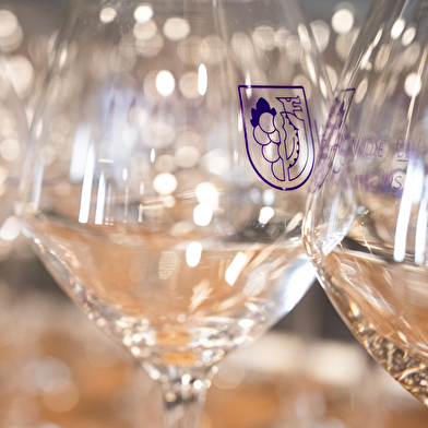 Visite guidée au Domaine Vincent Royet