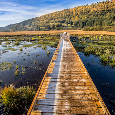 Parcours VTT 50 vert - Tour des Lésines - Espace FFC Ain Forestière