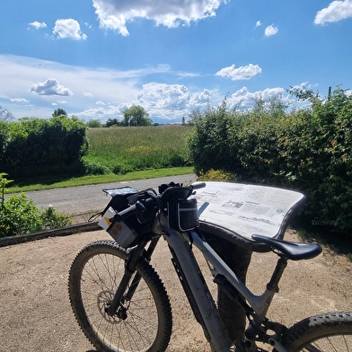 Circuit VTTAE n°26 (noir) - Tour de St Didier d'Aussiat