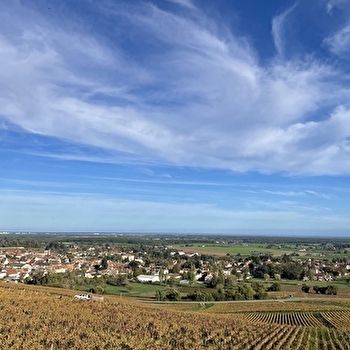 Chemin des Perdrix - BUXY