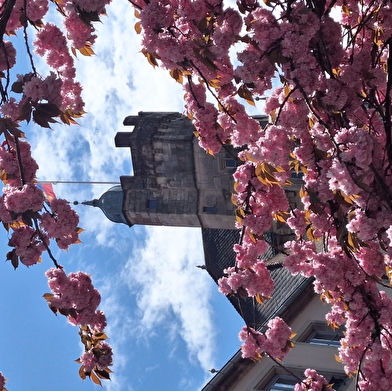 Les secrets de Luxeuil-les-Bains