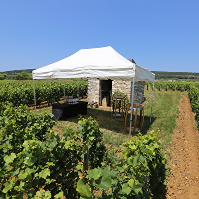 La Petite Vadrouille de Bourgogne 