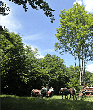 La Fontaine des Acacias - BESANCON Forêt de Chailluz