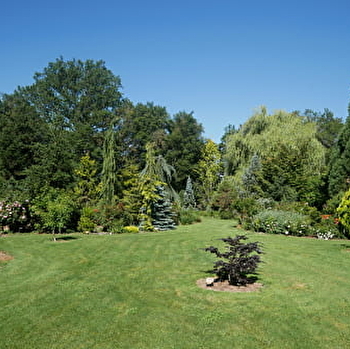 Arboretum Les Feuilles Fleuries - SAINT-ELOI