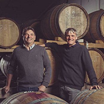 Vignoble Dampt Frères  - COLLAN