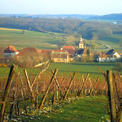 La Pierre qui Vire - n° 19