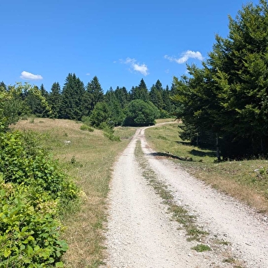 Taremberg - n°78 parcours classique