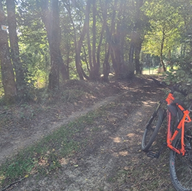 Circuit VTTAE n°8 (rouge) - Sur les crêtes de la Vallée du Sevron