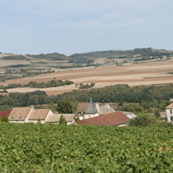 Gîte du Château  - CHANGE